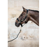 Cabresto de Veludo Kentucky Preto Cabresto de Veludo Kentucky Preto