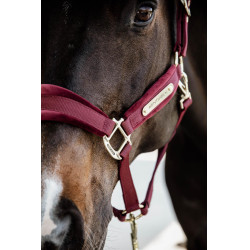 Cabresto de Veludo Kentucky Bordéus Bordô Cabresto de Veludo Kentucky Bordéus Bordô