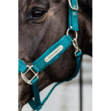 Cabresto de Veludo Kentucky Esmeralda Verde Cabresto de Veludo Kentucky Esmeralda Verde