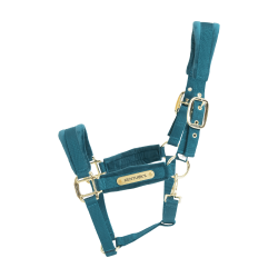 Cabresto de Veludo Kentucky Esmeralda Verde Cabresto de Veludo Kentucky Esmeralda Verde