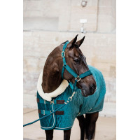 Cabresto de Veludo Kentucky Preto Cabresto de Veludo Kentucky Preto
