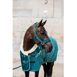 Cabresto de Veludo Kentucky Esmeralda Verde Cabresto de Veludo Kentucky Esmeralda Verde