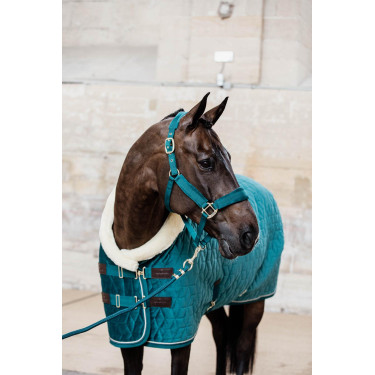 Cabresto de Veludo Kentucky Esmeralda Verde Cabresto de Veludo Kentucky Esmeralda Verde
