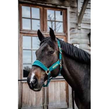 Cabresto de Veludo Kentucky Esmeralda Verde Cabresto de Veludo Kentucky Esmeralda Verde