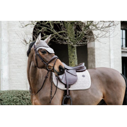 Sela básica de veludo para salto Kentucky Bege