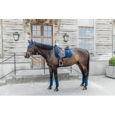 Sela de veludo com pérolas para adestramento Kentucky Sela de veludo com pérolas para adestramento Kentucky