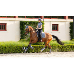 Bandagens de polo Loire LeMieux Gaio-azul