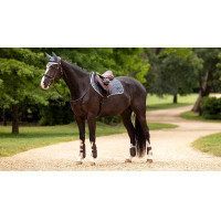 Tapete LeMieux Loire Classic Close Contact Square Gaio-azul