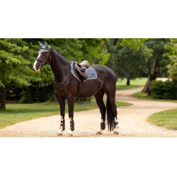 Tapete LeMieux Loire Classic Close Contact Square Gaio-azul