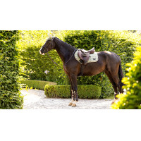 Tapete LeMieux Loire Classic Close Contact Square Feto