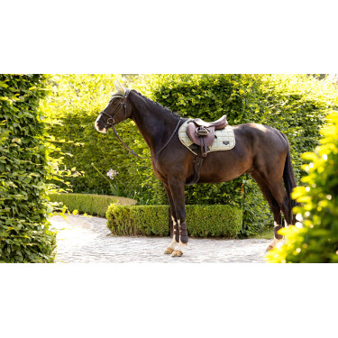 Tapete LeMieux Loire Classic Close Contact Square Tapete LeMieux Loire Classic Close Contact Square