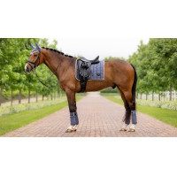 Tapete LeMieux Loire Classic Dressage Square Gaio-azul