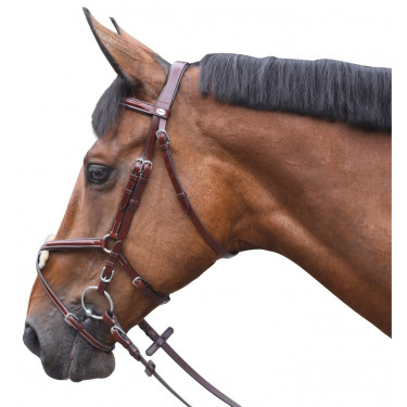 Bridon Lexington Austin Cruzado Bridon Lexington Austin Cruzado