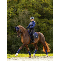 Tapete LeMieux Spectrum Dressage Square Bluebell Azul Tapete LeMieux Spectrum Dressage Square Bluebell Azul