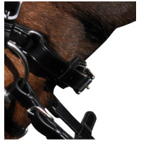 Bridon Lexington Pull Back...