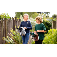 Bridão Grackle LeMieux para Hobby Horse Castanho