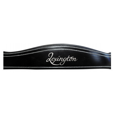 Bridão Lexington Pull Back Michigan Bridão Lexington Pull Back Michigan