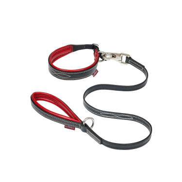 Collier et laisse pour chiot LeMieux Toy Chilli Collier et laisse pour chiot LeMieux Toy Chilli