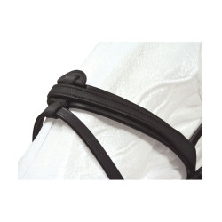 Bridon Cabourg Combinado Privilégio Equitação