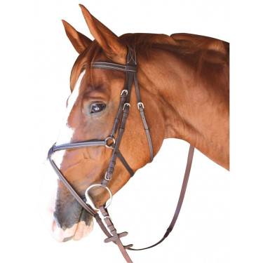 Bridão Cabourg Cruzado Privilégio Equitação