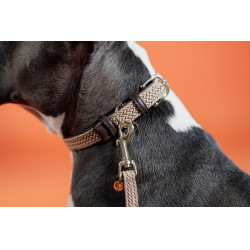 Coleira para cão Plaited Nylon Kentucky Bege