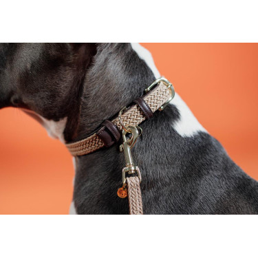 Coleira para cão Plaited Nylon Kentucky Bege