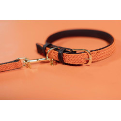 Coleira para cão Plaited Nylon Kentucky Laranja Coleira para cão Plaited Nylon Kentucky Laranja