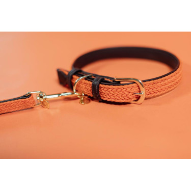 Coleira para cão Plaited Nylon Kentucky Laranja Coleira para cão Plaited Nylon Kentucky Laranja