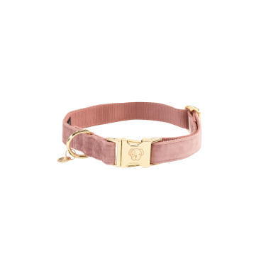 Hondenhalsband Velvet Kentucky Rosa velho