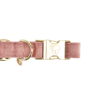 Hondenhalsband Velvet Kentucky Rosa velho
