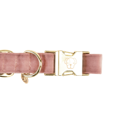 Hondenhalsband Velvet Kentucky Rosa velho