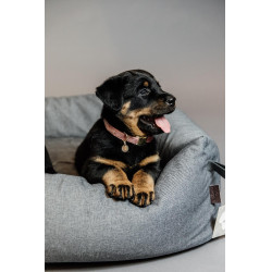 Hondenhalsband Velvet Kentucky Rosa velho