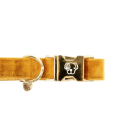 Hondenhalsband Velvet Kentucky Rosa velho