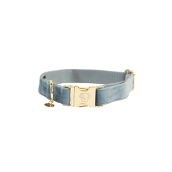 Hondenhalsband Velvet Kentucky Azul claro Hondenhalsband Velvet Kentucky Azul claro