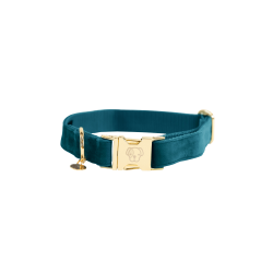 Coleira para cão Velvet Kentucky Esmeralda Verde Coleira para cão Velvet Kentucky Esmeralda Verde