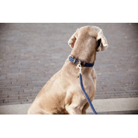 Laisse pour chien Plaited Nylon 120 cm Kentucky Bleu marine