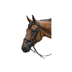 Bridon Pull Back Le Touquet Privilégio Equitação