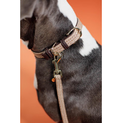 Trela para cão de nylon entrançado 120 cm Kentucky Bege Trela para cão de nylon entrançado 120 cm Kentucky Bege