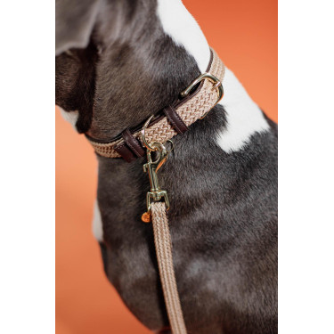 Trela para cão de nylon entrançado 120 cm Kentucky Bege Trela para cão de nylon entrançado 120 cm Kentucky Bege