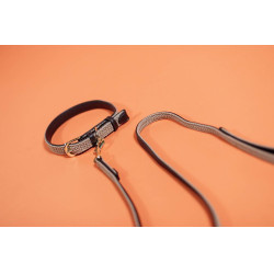 Trela para cão de nylon entrançado 120 cm Kentucky Bege Trela para cão de nylon entrançado 120 cm Kentucky Bege