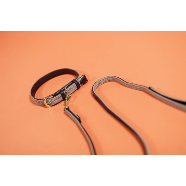 Trela para cão de nylon entrançado 120 cm Kentucky Bege Trela para cão de nylon entrançado 120 cm Kentucky Bege