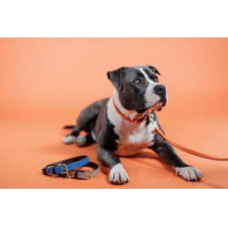 Trela para cão de nylon entrançado 120 cm Kentucky Trela para cão de nylon entrançado 120 cm Kentucky