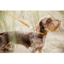 Coleira para cão Velvet 120 cm Kentucky Coleira para cão Velvet 120 cm Kentucky