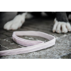 Coleira para cão Velvet 120 cm Kentucky Rosa claro