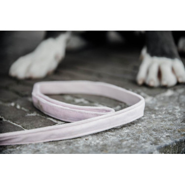 Coleira para cão Velvet 120 cm Kentucky Rosa claro