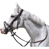 Bridão Göteborg Combinado... Bridão Göteborg Combinado...