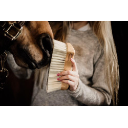 Tampa de cerdas macias Kentucky Castanho