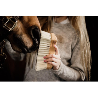 Tampa de cerdas macias Kentucky Castanho