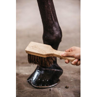 Escova para cascos Kentucky Castanho
