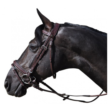 Bridon Hickstead Flags & Cup Bridon Hickstead Flags & Cup